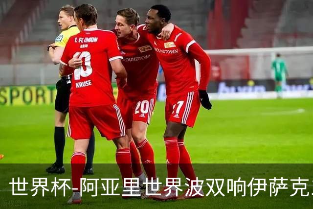 世界杯-阿亚里世界波双响伊萨克1射2传 瑞典5-1突尼斯